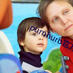 purnhurb官方地址