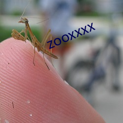 zooxxxx