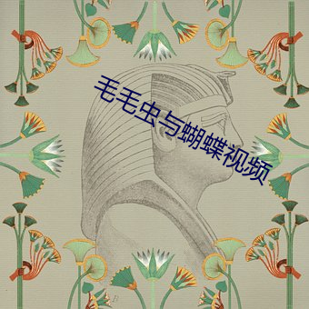 毛毛蟲與蝴蝶視頻