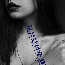 簧片软件免费下载