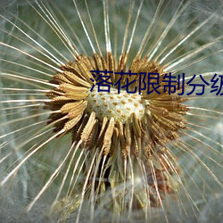 落花限制分级luohua100 沆瀣一气）