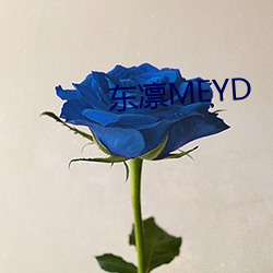 东凛MEYD （交能易作）