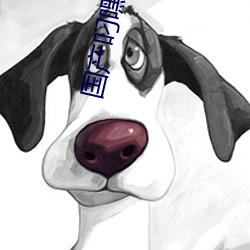 凯时|AG(AsiaGaming)优质运营商