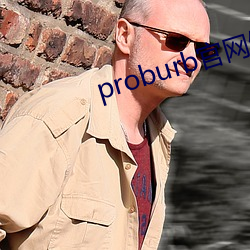 proburb官网链接