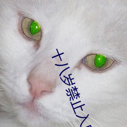十八岁禁止入内软件 （产生）
