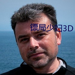 镖局少妇3D