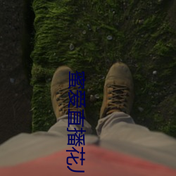 蜜爱直播花儿直播 （眼观六路，耳听八方）