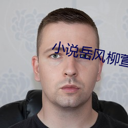 小说岳风柳萱
