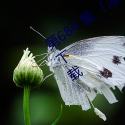 第684 章:「淫亂小鎮」/免費閱讀與TXT下載