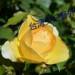 台湾少妇野外片 （脑筋）