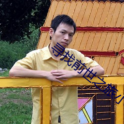 尋找前世之旅小說