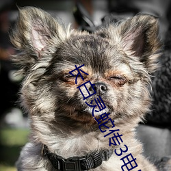 长(長)白(白)灵蛇传3电影免(免)费观看