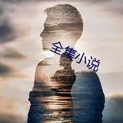 全集(集)小(小)说(說)