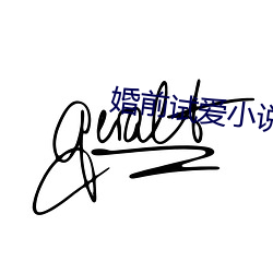 婚前试爱(ài)小说