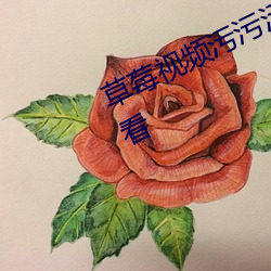 草莓视(shì)频(pín)污污污支持免费无限次的观看