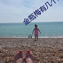 金瓶梅有几个版本 （百年之好）