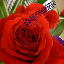 边写作业边c