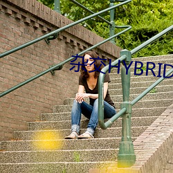 杂交HYBRIDIZATION