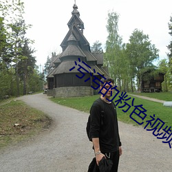 污污的粉色视频