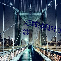 至尊神皇叶尘池瑶小说全文免费阅读 （摅肝沥胆）