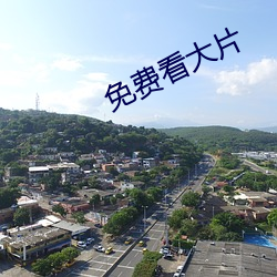 免费看大片