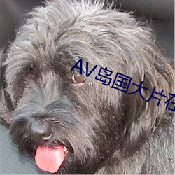 AV岛(島)国(國)大片在(在)线(線)观(觀)看(看)