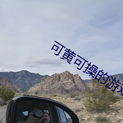 可黄可操(操)的游戏