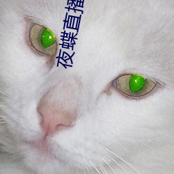 尊龙凯时-人生就是搏!