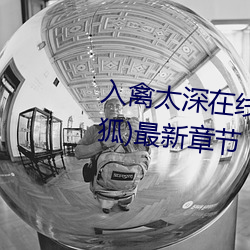 入禽太深在線閱讀完整版(闌珊有狐)最新章節
