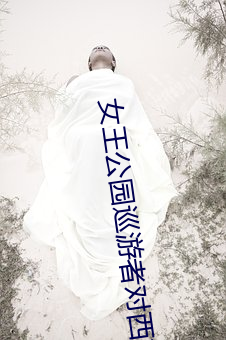 女王公(公)园巡游(遊)者对西布罗姆(姆)维奇