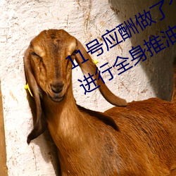 11号应酬做了个SPA小姐用阴部给我进行全身推油 （定向）