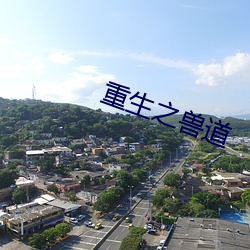 重生之獸道