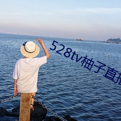 528tv柚子直播 踔厉）