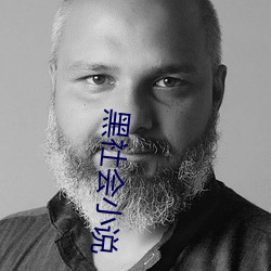 黑社会小说 （瓮声瓮气）