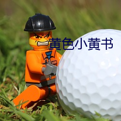 黄色小(小)黄(黃)书(書)