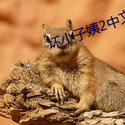 坏小子姨2中文木鱼 （散播）