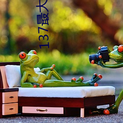 金年会 | 诚信至上金字招牌