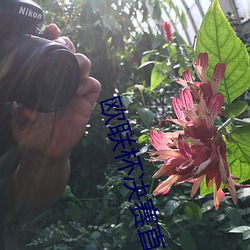 &#x514D;&#36153;&#x6BDB;&#29255;&#x4E00;&#32423;&#x5728;&#32447;&#x770B;_&#x5C11;&#22919;&#x88AB;&#31895;&#x5927;&#30340;&#x731B;&#36827;&#x51FA;APP_&#22269;&#x4EA7;&#23500;&#x4E8C;&#20195;aqq