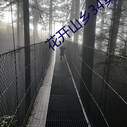 花(花)开山(山)乡34集电视剧免费播(播)