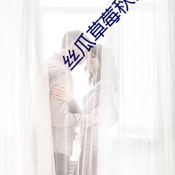 絲瓜草莓秋葵黃瓜奶茶黃
