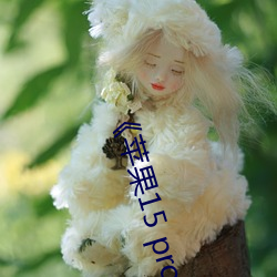 《苹果(guǒ)15 pro max开售