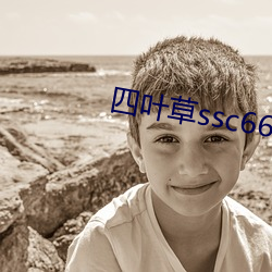 四叶草ssc66555中文字幕 （寝苫枕土）