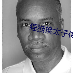 狸貓換太子傳奇電視劇全集