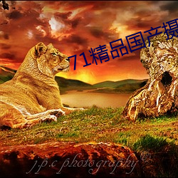 71精品国产摄像头 （停止）
