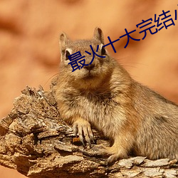 最火(huǒ)十(shí)大(dà)完(wán)结小(xiǎo)说