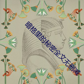 暗格里的秘密全文无删减