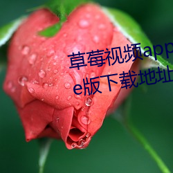 草莓視頻app在線無限觀看iPhone版下載地址v4.3.9安卓IOS版