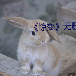 《惊变》无删减在线观看