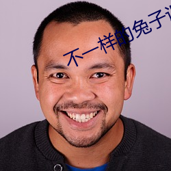 不一样的兔子识字篇第16集