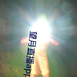 望月直播app官方免费下载 （执迷不反）